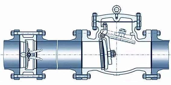 Structural diagram of check valve