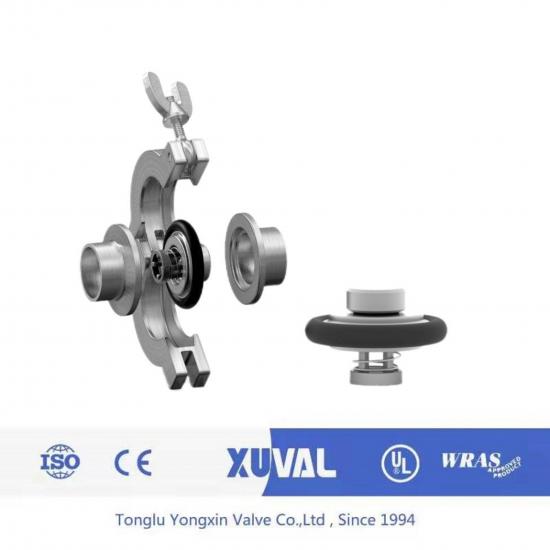 Flange insertion check valve