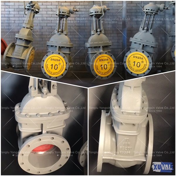 PO-XU336,20 sets of DN300, 20 sets of DN250 rising stem gate valve,JIS 10K,FC200,be ready!
